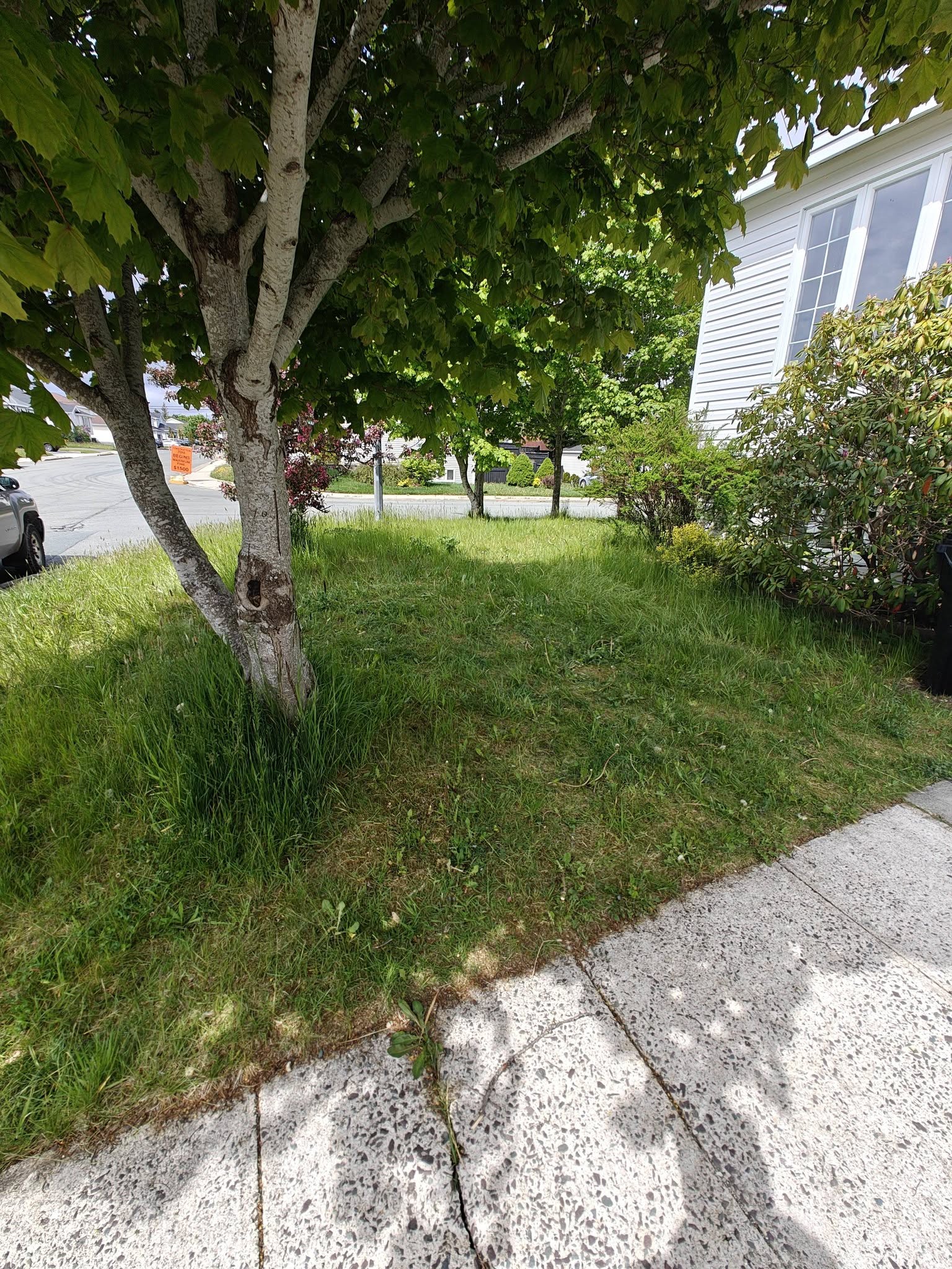 After: Lawn completely cleared by FareShare affordable junk removal